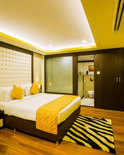 https://www.brandmyhotel.in/wp-content/uploads/2023/12/kapis-journey-new-1.png